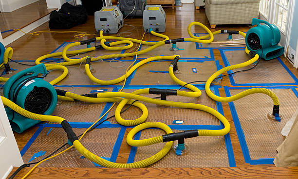 Professional Water Extraction technician working in Dana, IA
